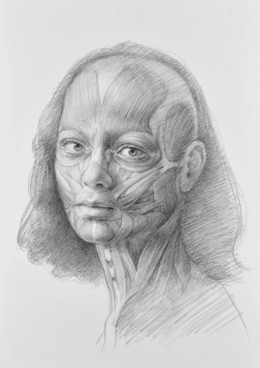 塩谷亮作品《Dariaの解剖図》2021年 - 古典技法習得のための解剖学的研究